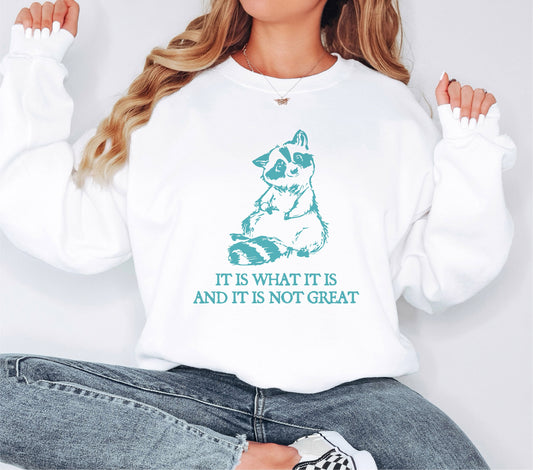 It Is What It Is And It Is Not Great Sweatshirt,  Sweatshirt, Raccoon Meme Sweatshirt,Funny Meme Sweatshirt,Gift for Her,Gift for Him