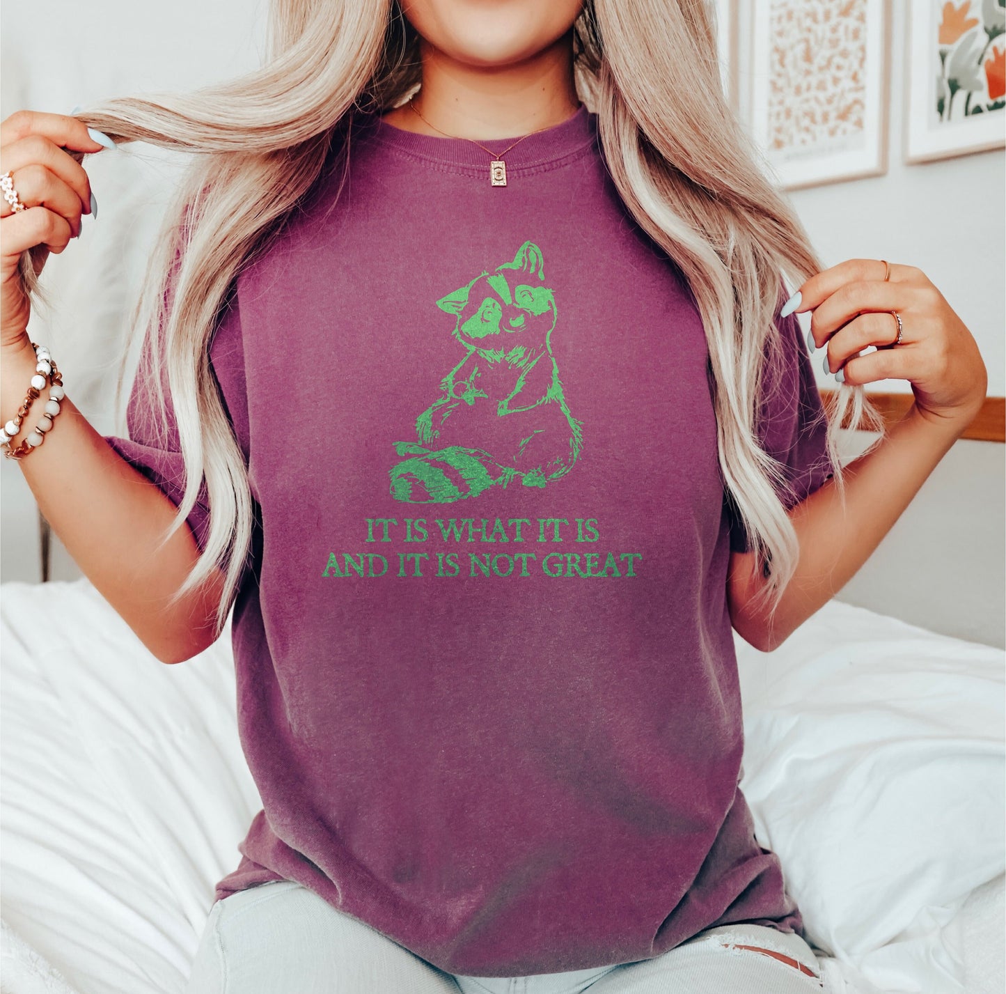 It Is What It Is And It Is Not Great Tshirt, Raccoon Meme Shirt, Funny Shirt,  Drawing Shirt,  Funny Trash Shirt, Meme Shirt