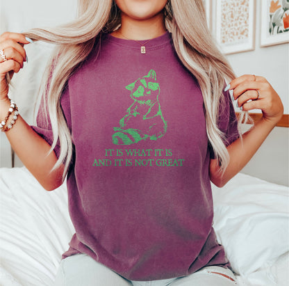 It Is What It Is And It Is Not Great Tshirt, Raccoon Meme Shirt, Funny Shirt,  Drawing Shirt,  Funny Trash Shirt, Meme Shirt