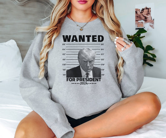 Wanted for President Sweatshirt, Donald Trump Hoodie, Election Sweatshirt, Trump Sweatshirt, Trump Election Sweatshirt, Trump Hoodie