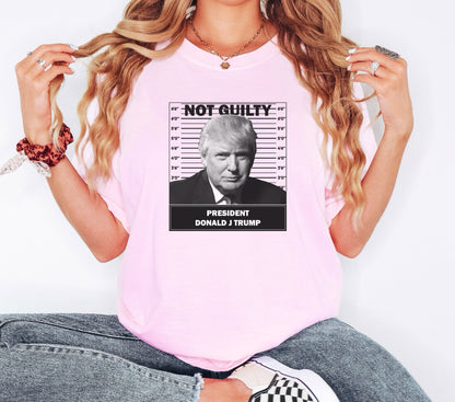 Not Guilty Tshirt, Trump Election Shirt, Trump Tshirt, Trump Shirt, Donald Trump Shirt, Election Shirt, Donald Trump Shirt, Gift for Her