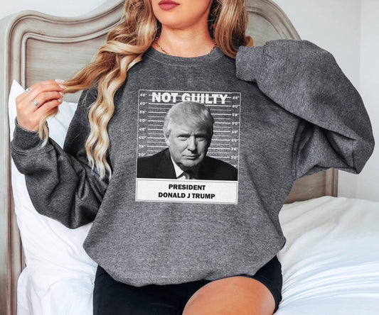 President Trump Sweatshirt, Trump Sweatshirt, Trump Not Guilty Sweatshirt,Trump Election Sweatshirt,Trump Hoodie, Gift for Her, Gift for Him