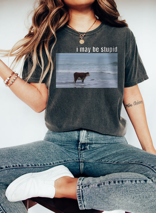 I May Be Stupid Tshirt, Meme Shirt, Ocean Cow Shirt, Funny Shirt, Gift for Her, Gift for Him, Joke Shirt, Funny Meme Tee, Gag Shirt