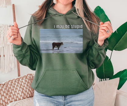I May Be Stupid Sweatshirt, Ocean Cow Hoodie, Funny Sweatshirt,Gift for Her,Gift for Him,Joke Sweatshirt, Funny Meme Hoodie, Gag Sweatshirt