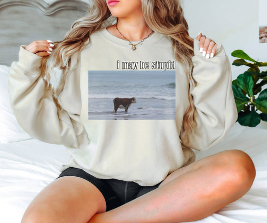 I May Be Stupid Sweatshirt, Ocean Cow Hoodie, Funny Sweatshirt,Gift for Her,Gift for Him,Joke Sweatshirt, Funny Meme Hoodie, Gag Sweatshirt