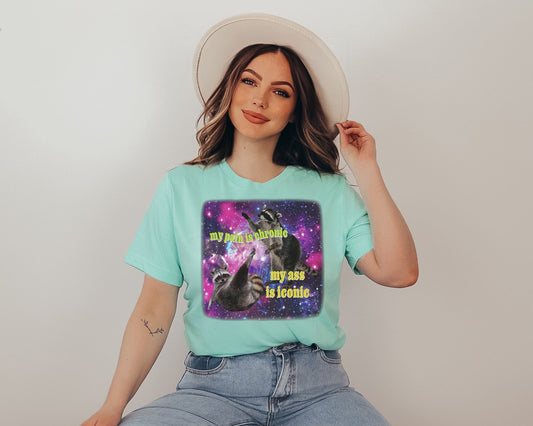 My Pain Is Chronic but My Ass Is Iconic Tshirt - Iconic Opossums Lover T-shirt - Chronic Pain, Memorable Ass