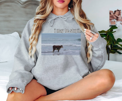 I May Be Stupid Sweatshirt, Ocean Cow Hoodie, Funny Sweatshirt,Gift for Her,Gift for Him,Joke Sweatshirt, Funny Meme Hoodie, Gag Sweatshirt
