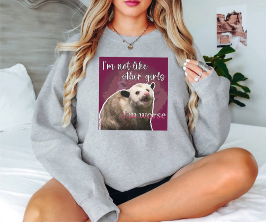 I'm Not Like Other Girls, I'm Worse Sweatshirt, Raccoon Sweatshirt, Weird Hoodie, Meme Sweatshirt, Trash Panda Sweatshirt, Funny Sweatshirt