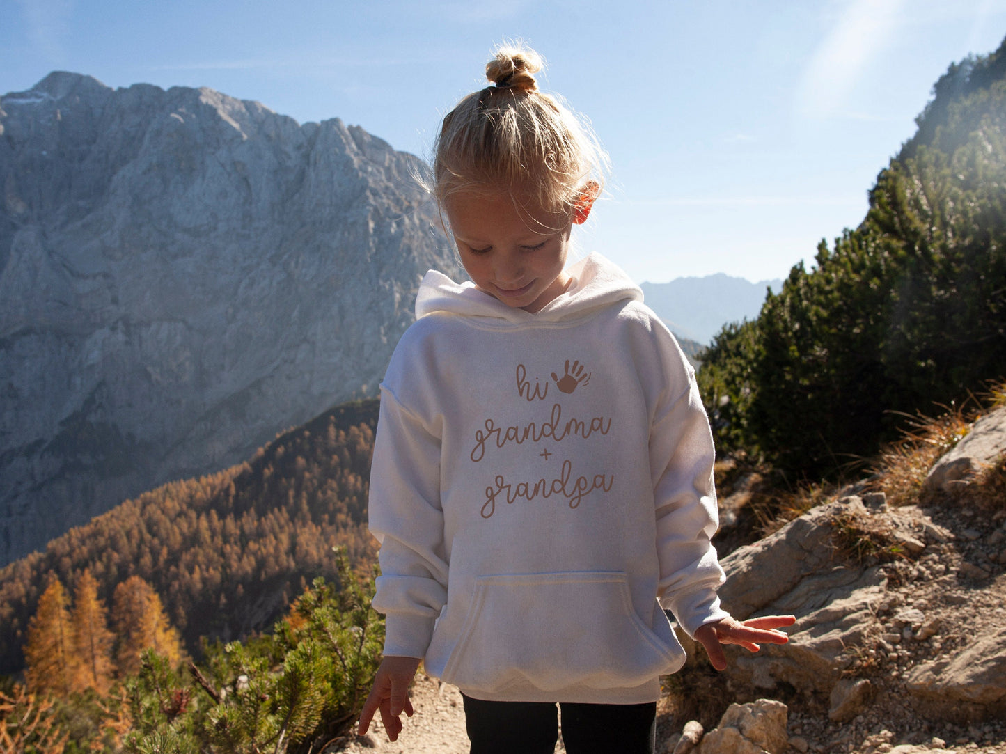 Hi Grandma and Grandpa Grandchild Sweatshirt, Toddler Hoodies, Birthday Gift, Unique Gift, Grandparents Gift, Mother's Day, Father's Day